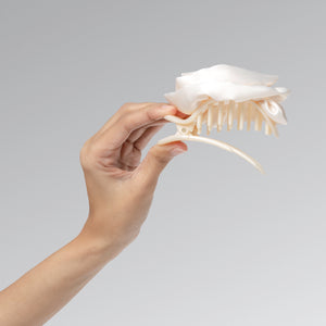 Hand holding a Satin rosette Flat Cloud Clip against a gray background