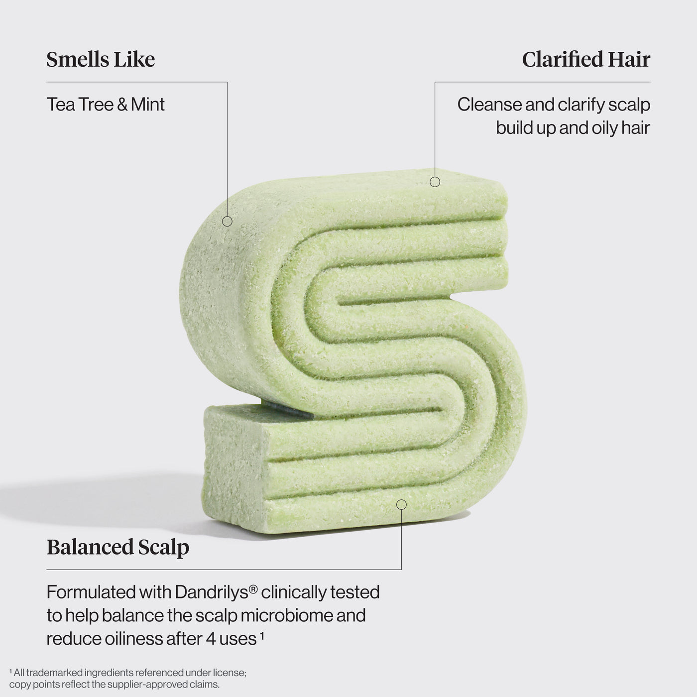 Tea Tree & Mint Clarifying Shampoo & Conditioner Bar Combo