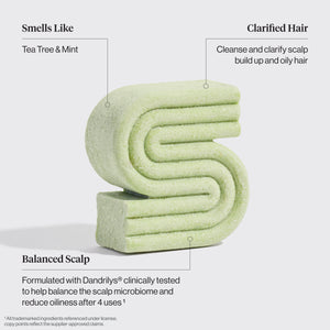 Tea Tree & Mint Clarifying Shampoo & Conditioner Bar Combo